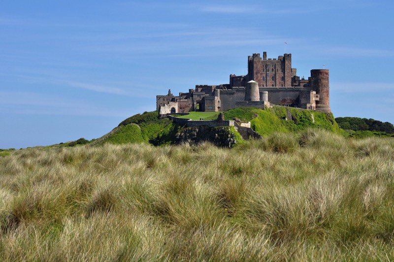 Stacks Image 425