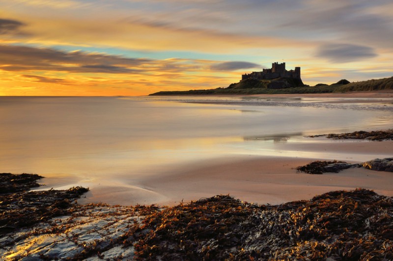 Stacks Image 427