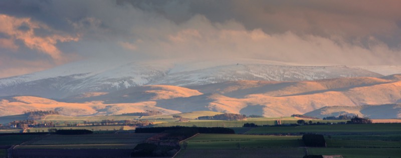 Stacks Image 432