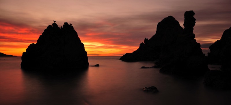 Stacks Image 852