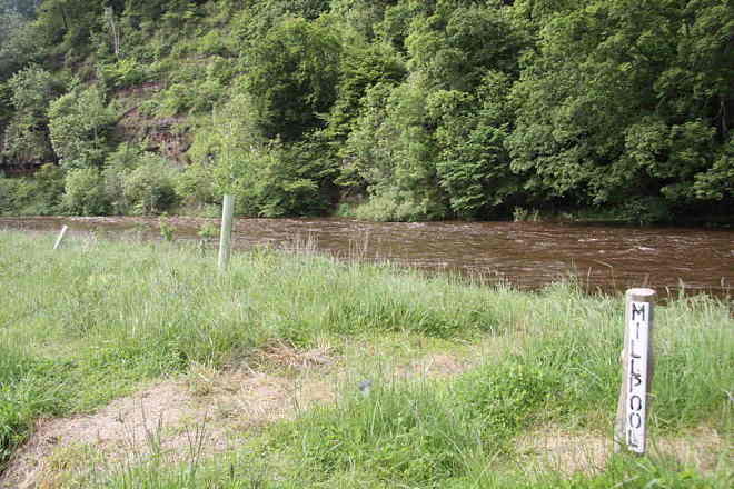 Stacks Image 406