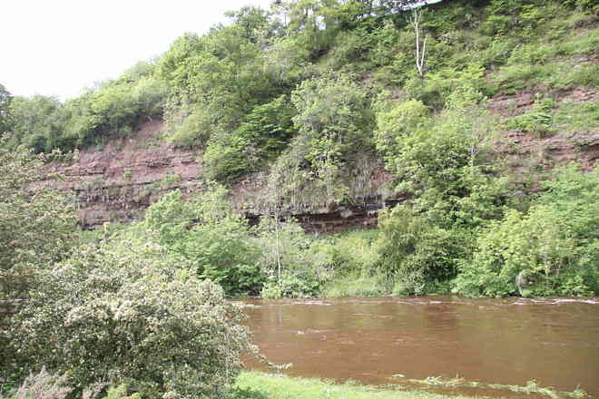 Stacks Image 407