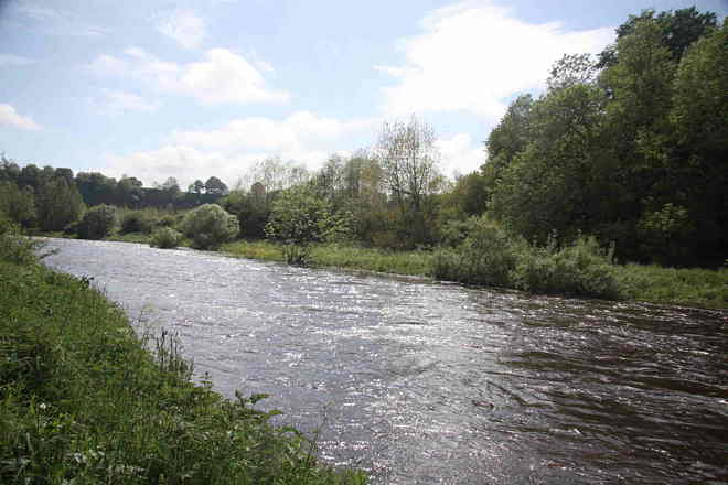 Stacks Image 408